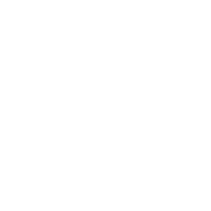 יואל פרץ לוגו לבן רקע שקוף